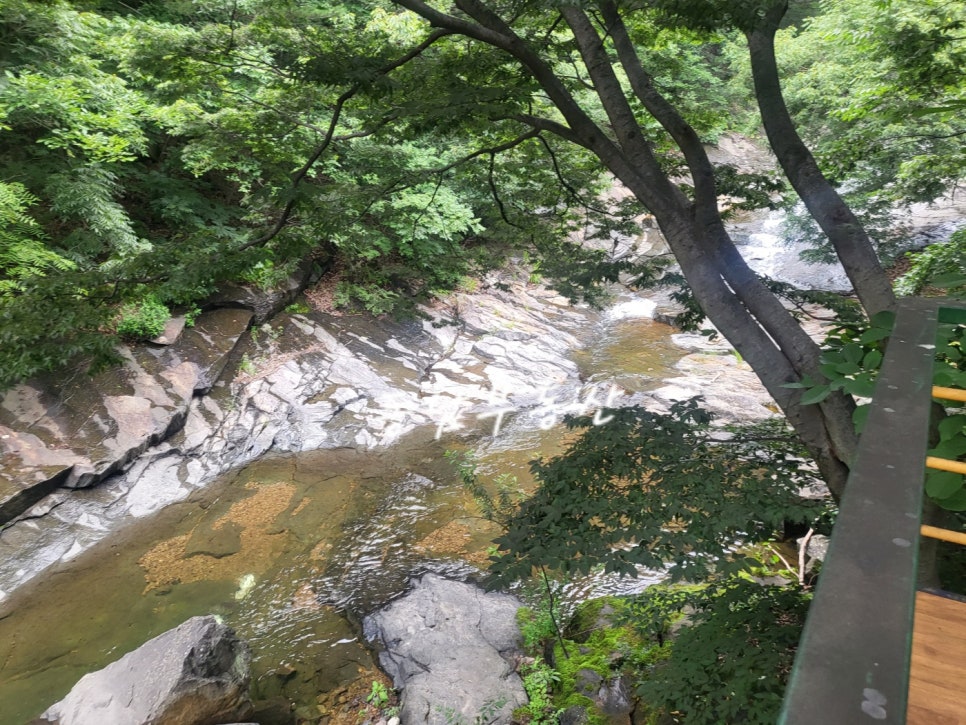 원동펜션 이미지