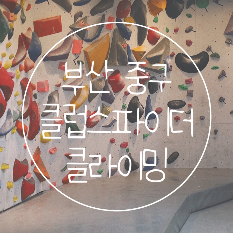 클럽스파이더클라이밍 이미지