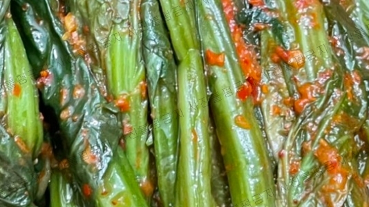 돌산수산 이미지