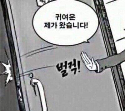 펫토그래퍼 이미지