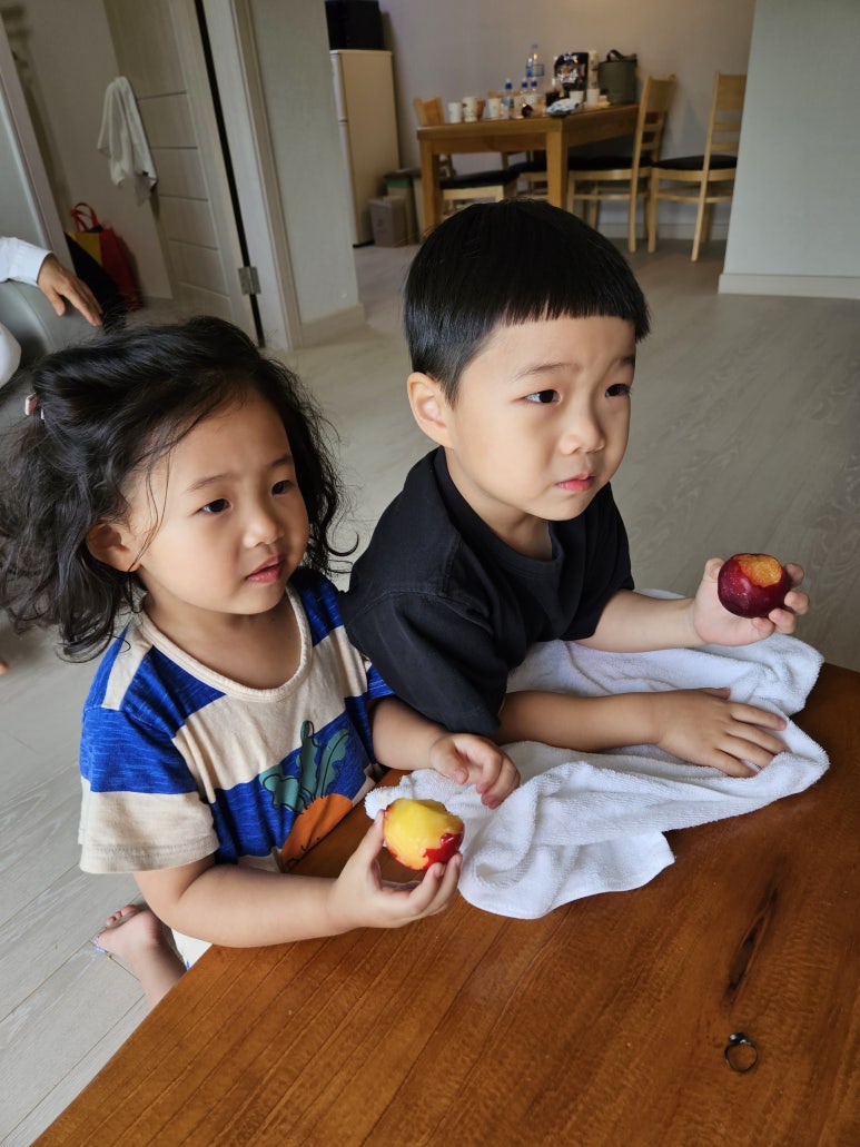 패밀리먹거리 이미지