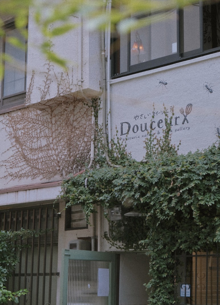 두세르(Douceur) 이미지