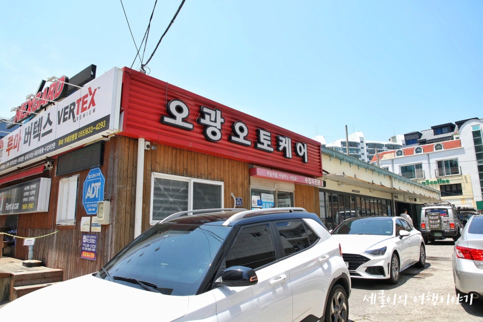 케이디렌트카거제고현지점 이미지