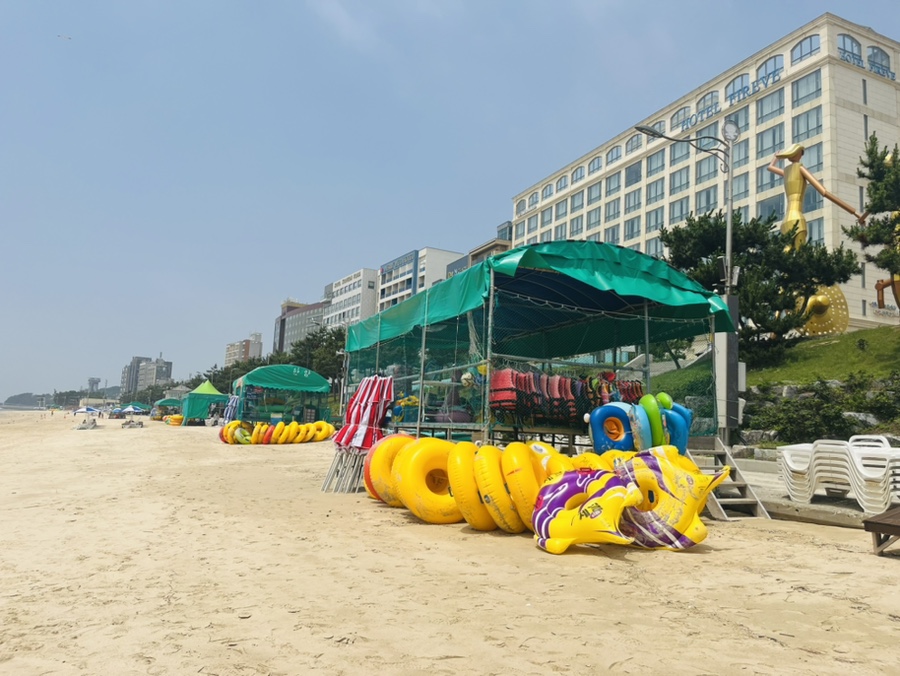 대천머드파라솔 이미지