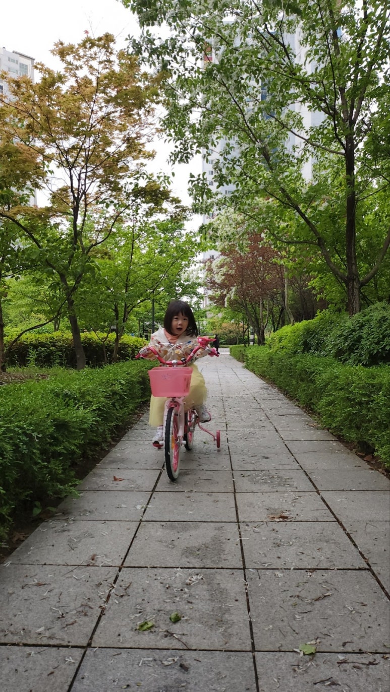 자전거사람들애 이미지