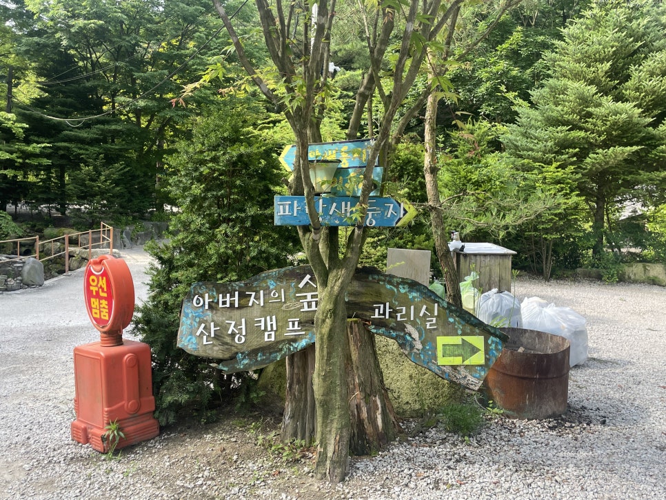 아버지의숲산정캠프 이미지