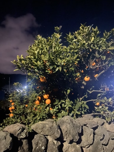브로콜리민박 이미지
