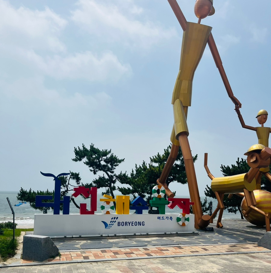 대천머드파라솔 이미지