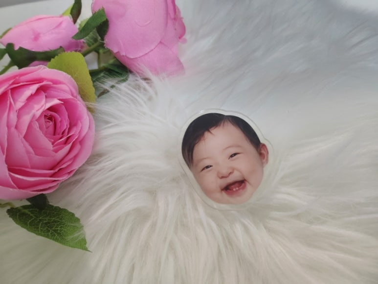 체스넛주 이미지