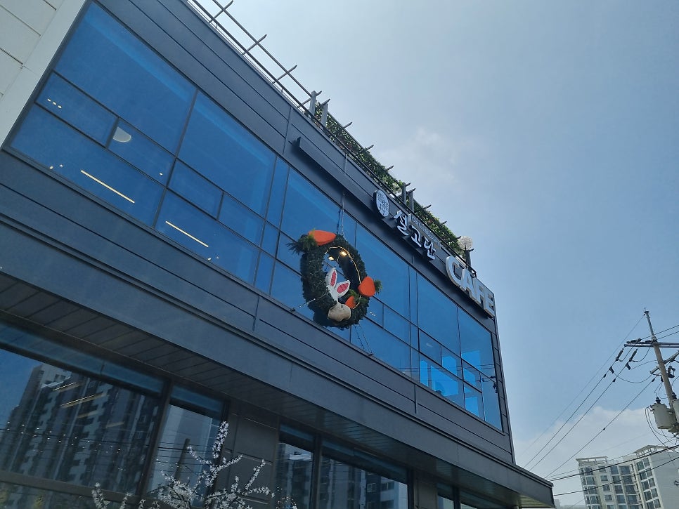 고촌빵집 이미지
