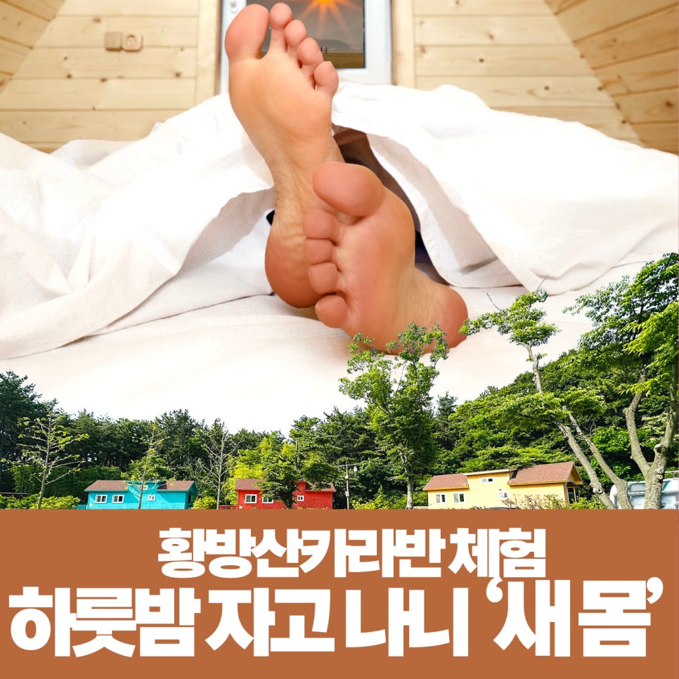 오장전자 이미지