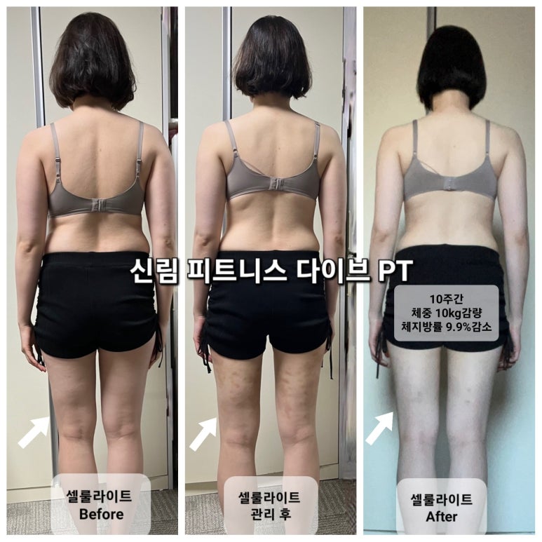 피트니스다이브 이미지
