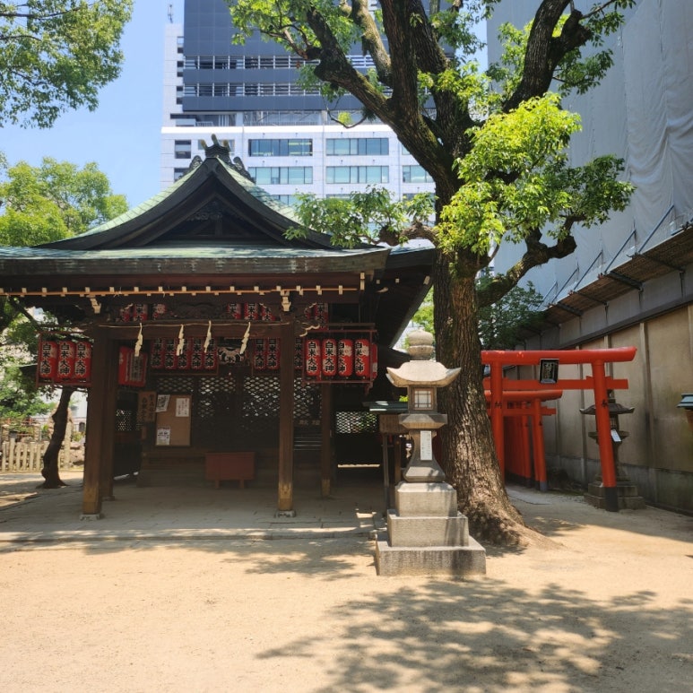 백미사 이미지