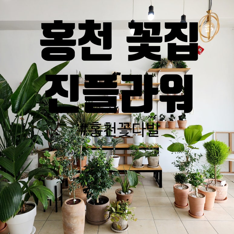 해피플라워앤카페 이미지