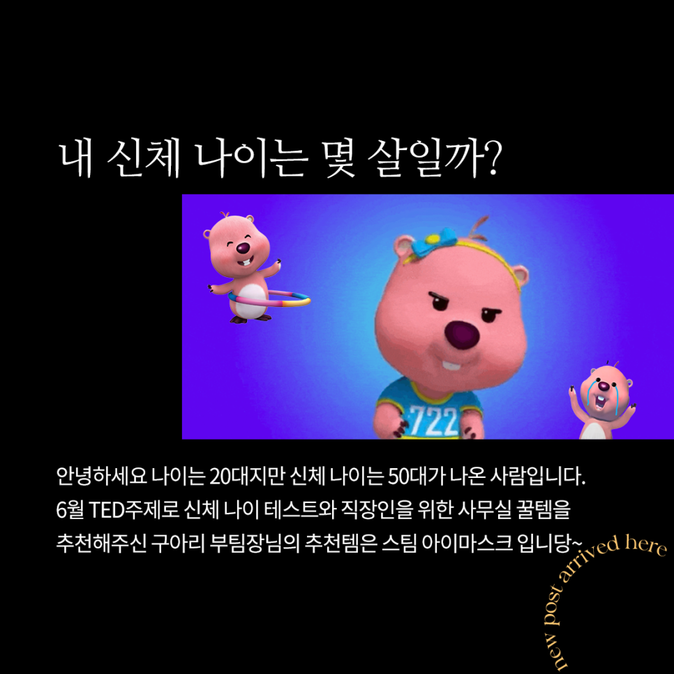 하삼동커피경대 이미지