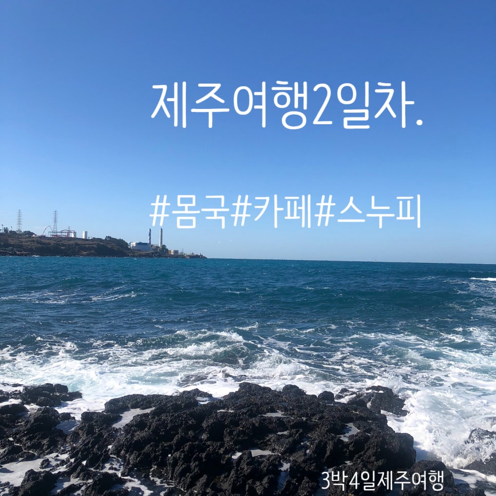 복자몸국 이미지