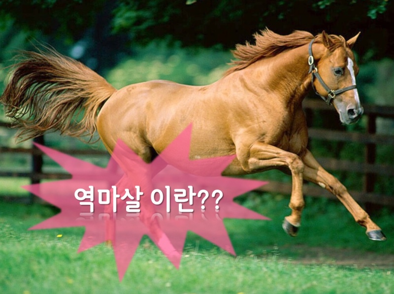 청춘투어 이미지