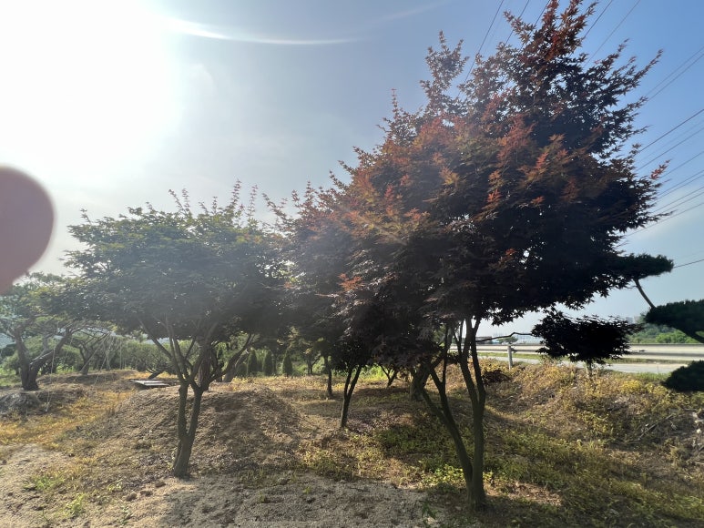 (주) 한울조경 이미지