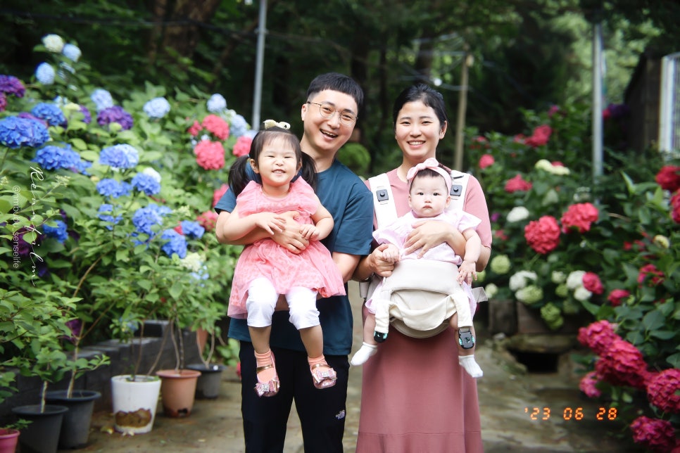 대연사 이미지