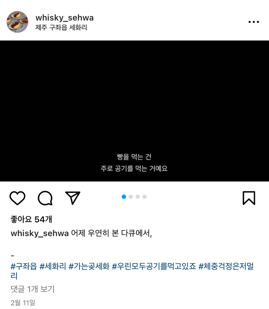 홉히 이미지