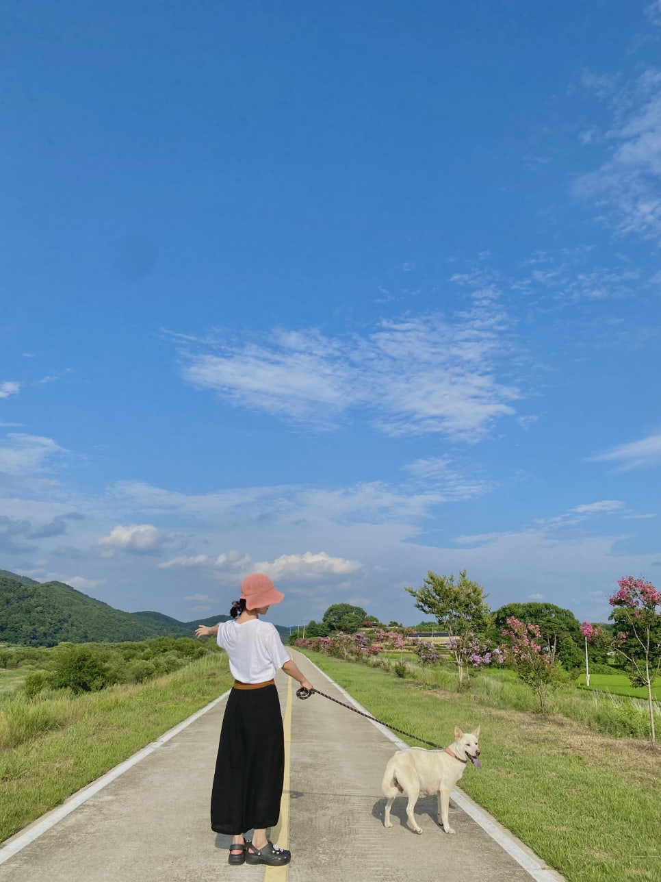 남예천농협 하나로마트 이미지