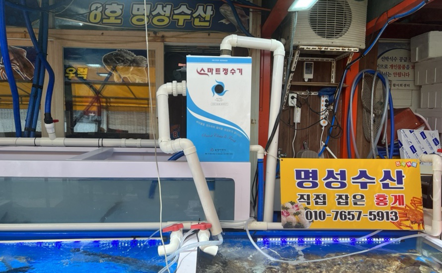 광어두마리만오천원 이미지