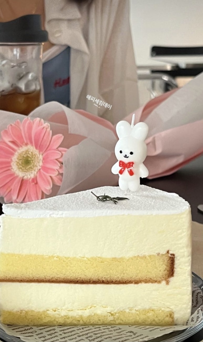 마이데이케이크 이미지