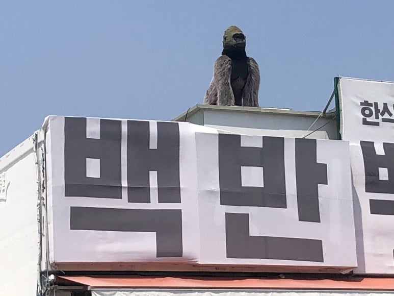 동굴한식뷔페 이미지