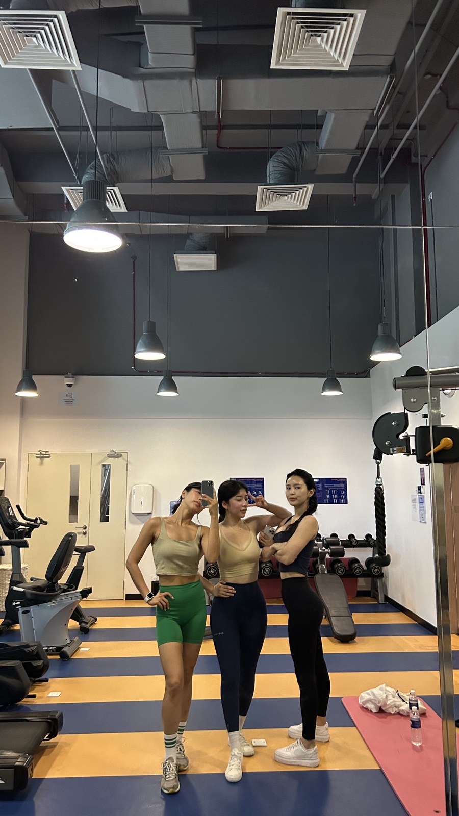 코타팸 이미지