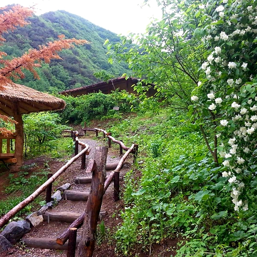 산골펜션 이미지