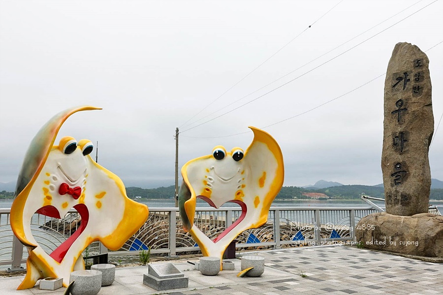 강진만해양레저 이미지