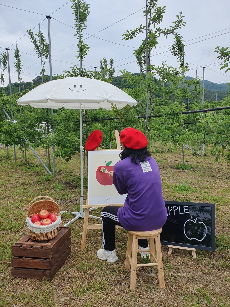 퍼밋랜드 이미지