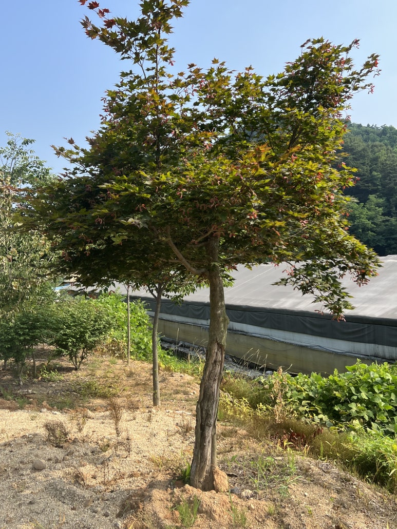 (주) 한울조경 이미지