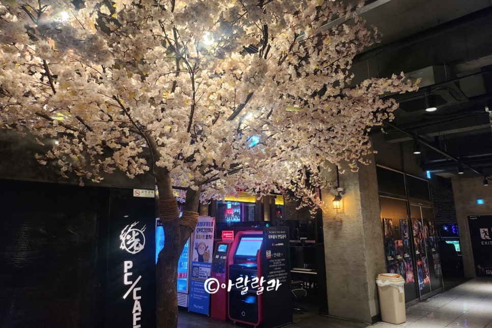 광pc방 이미지