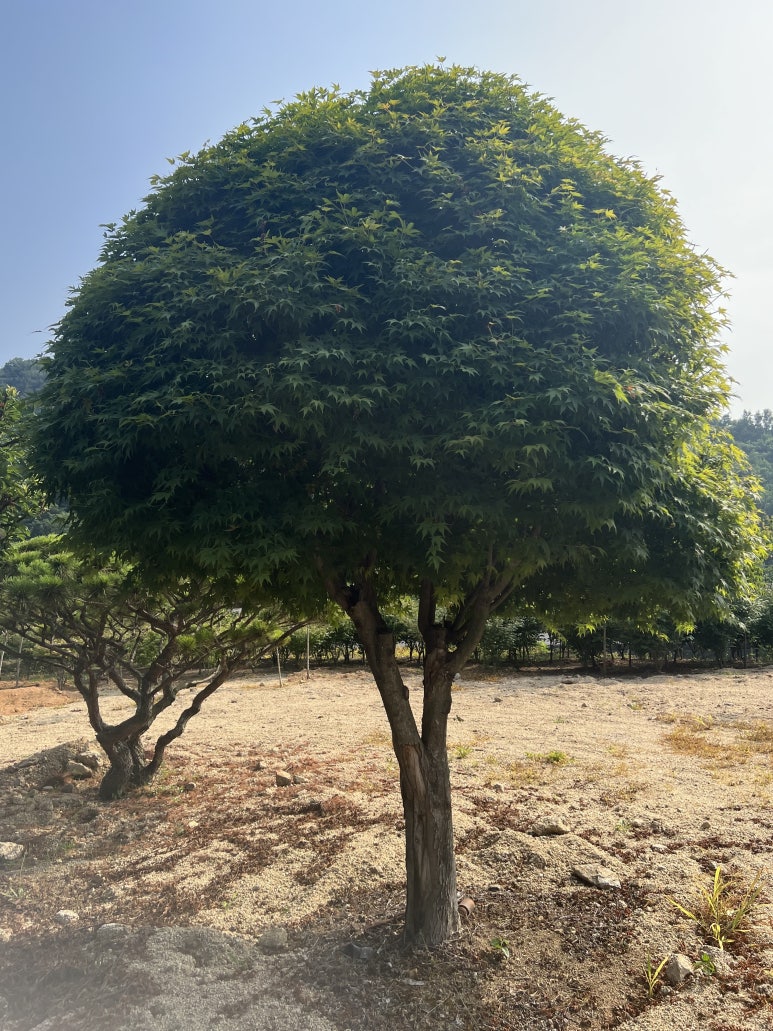 (주) 한울조경 이미지