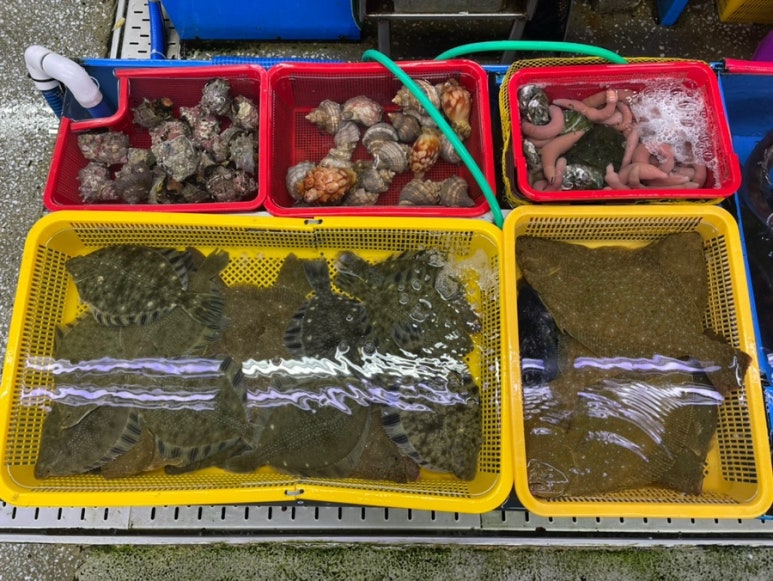 창주상회 이미지