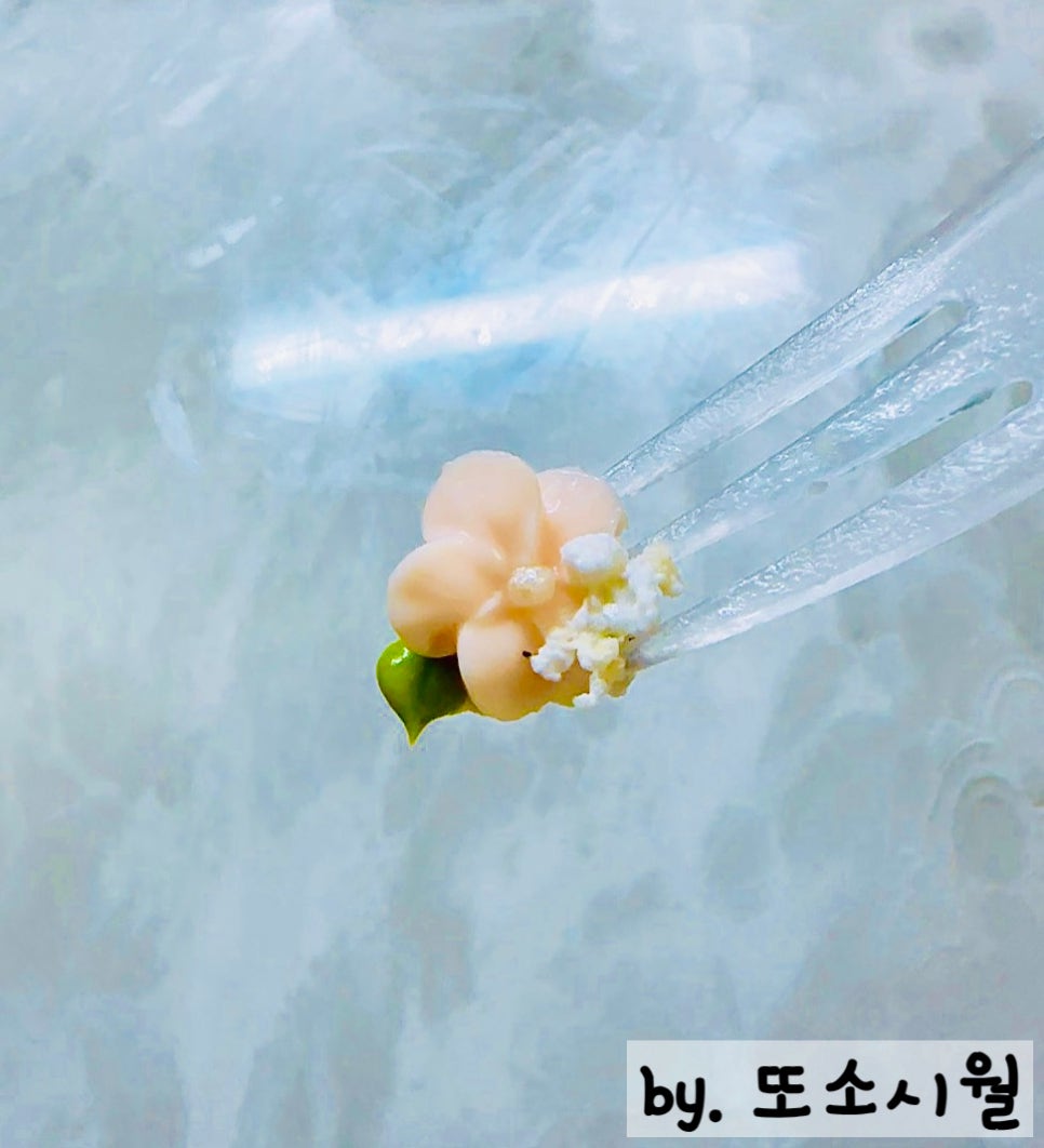 삼월에케이크 이미지