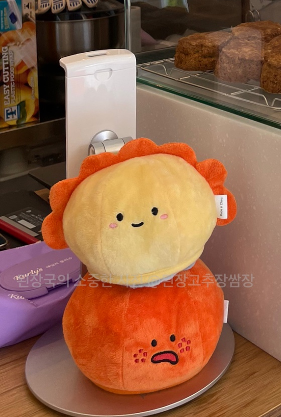 디소네 이미지