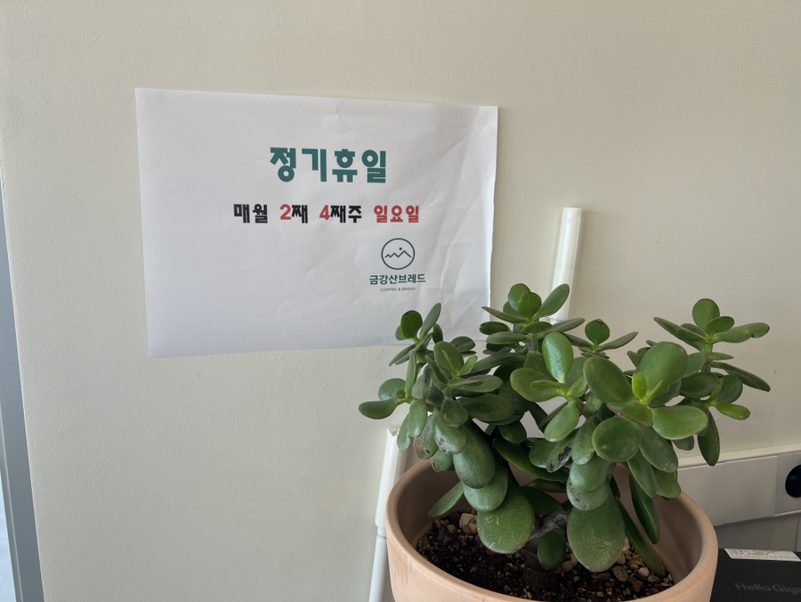금강산브레드 이미지