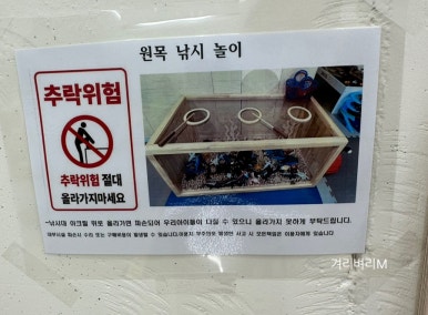 나무늘보키즈룸 이미지
