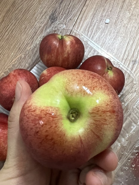 농산물SD 이미지