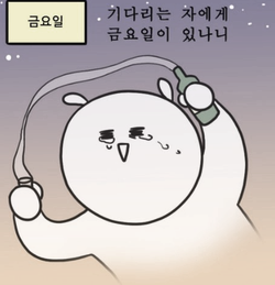 카모터스 이미지