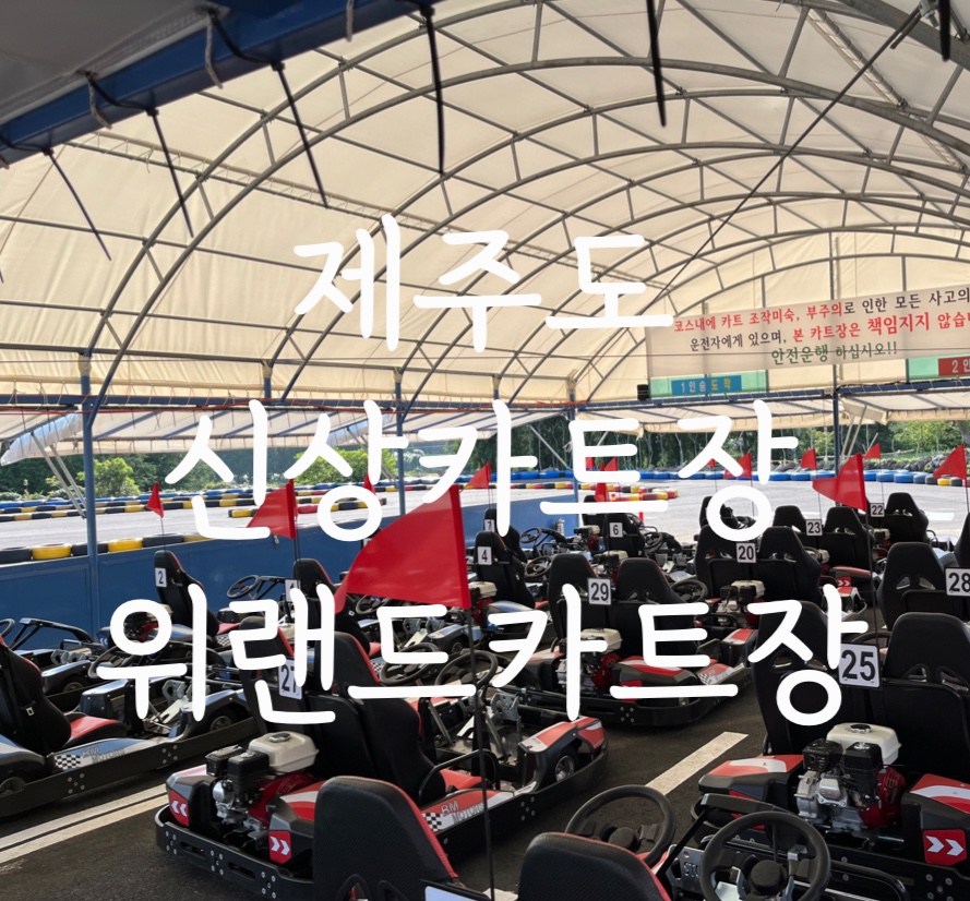 위랜드 카트장 이미지