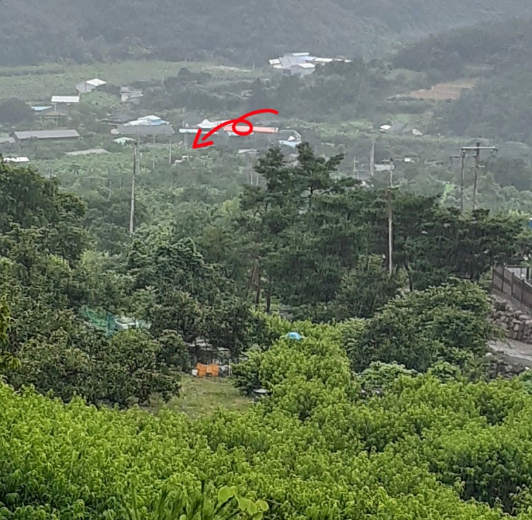 백여사카페 이미지