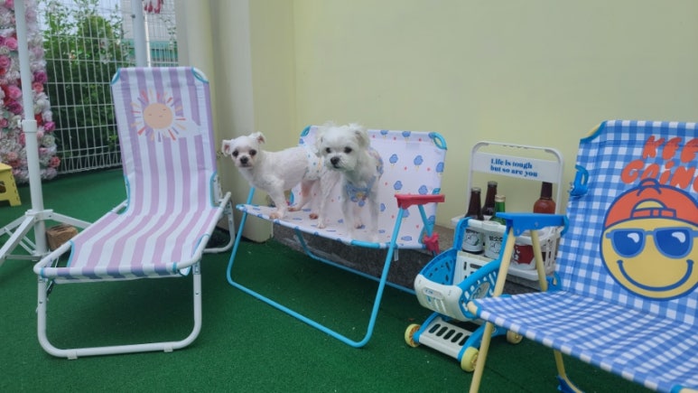 오알카페 이미지