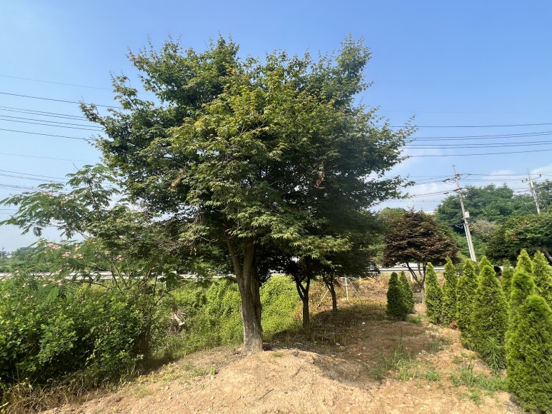 한울조경 주식회사 이미지