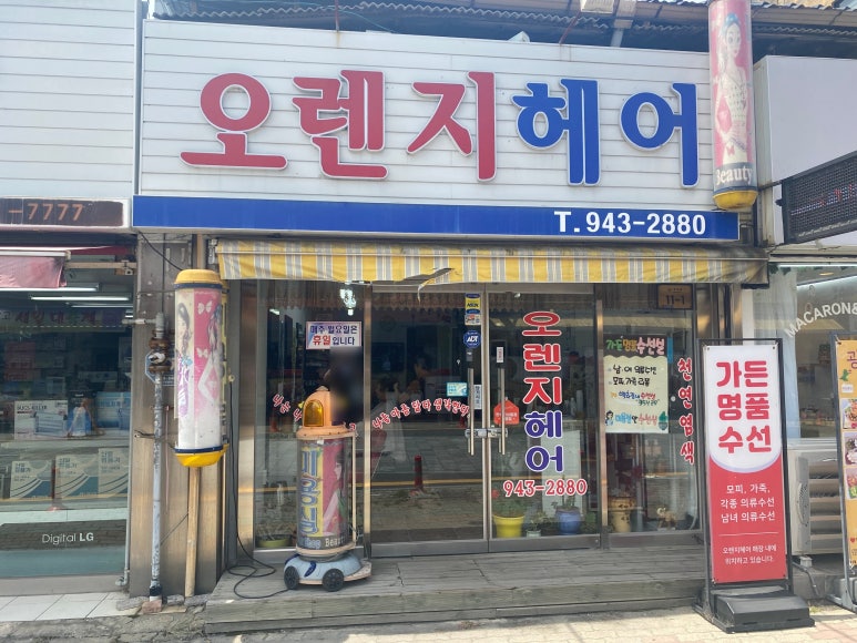오렌지수선실 이미지