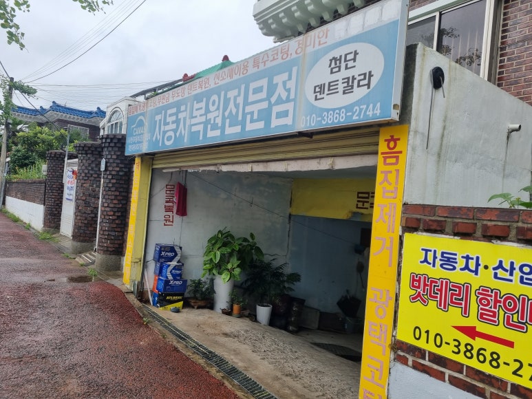 첨단덴트칼라 이미지