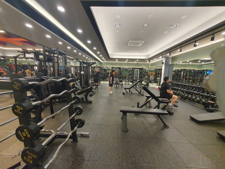 핏불휘트니스 이미지