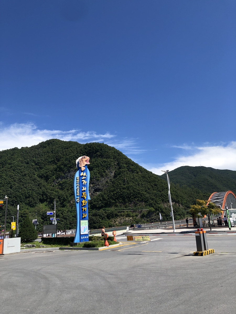 단디카페 이미지